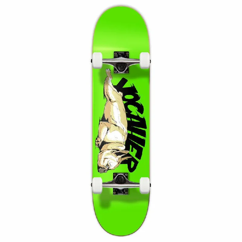 Yocaher Lazy French Bulldog 7.75" Complete Skateboard